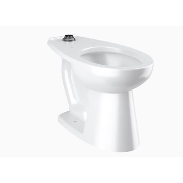 Vitreous China ST2029A-BPL Elongated Floor-Mounted ADA Water Closet